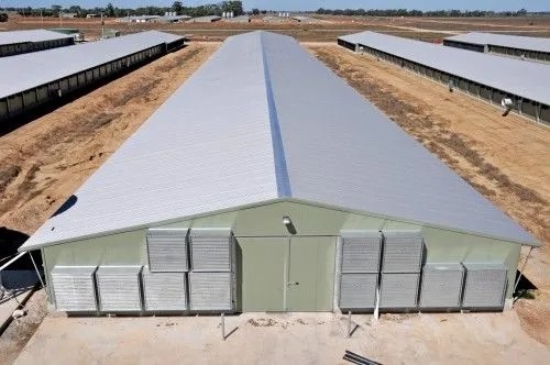 Struktur baja H-Beam Prefab Rumah Unggas Panel Sandwich Isolasi 0